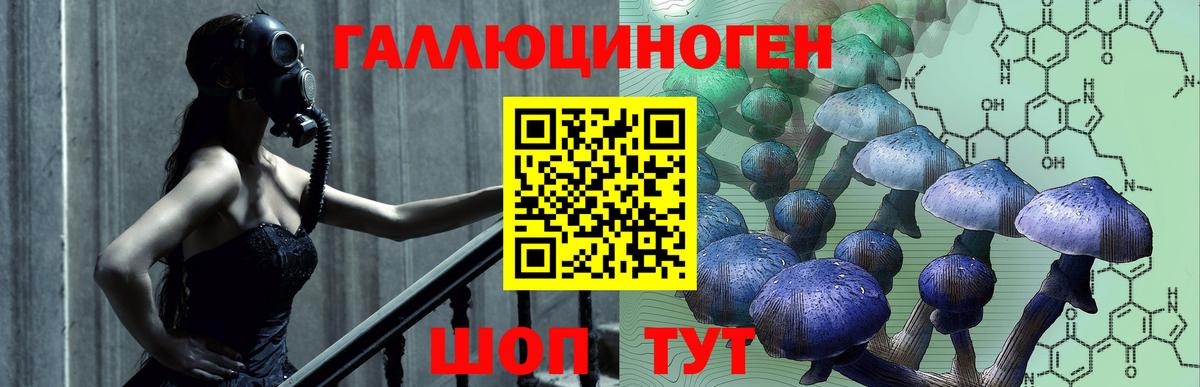 Вологда  Псилоцибиновые грибы мицелий  продажа наркотиков  Вход с VPN 